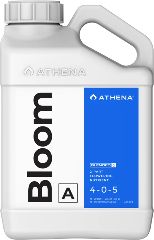 Athena Bloom A