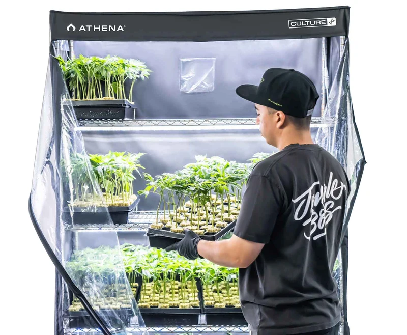 Athena VPDome holding cloning trays in production