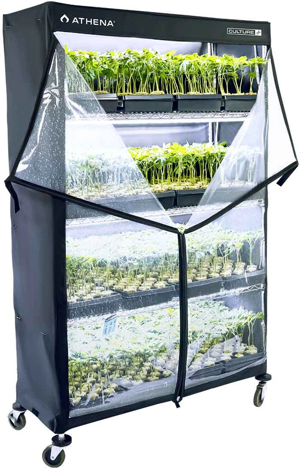Athena VPDome propagation rack cover