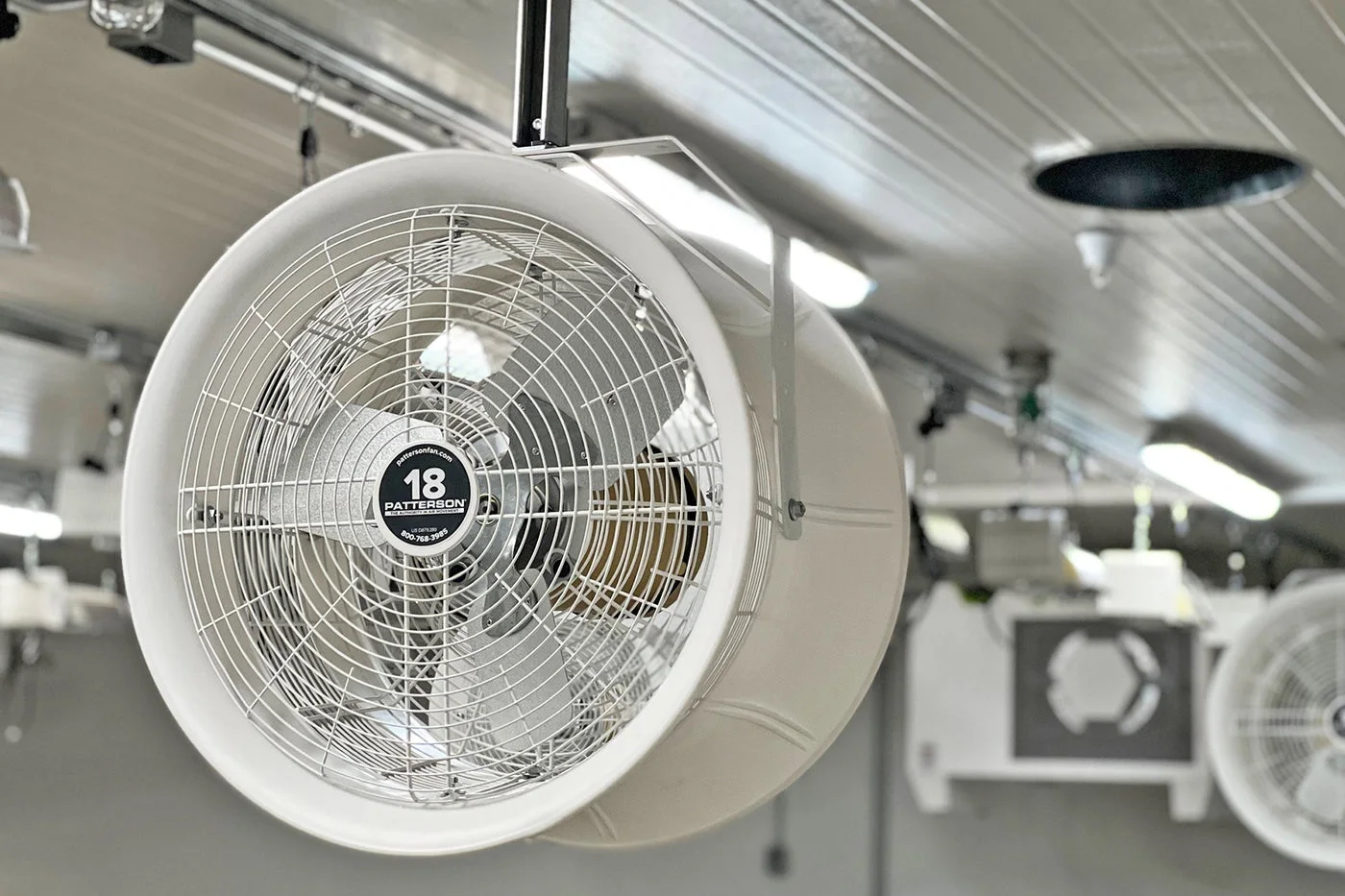 How Many Fans Does a Grow Room Need? A Sizing Guide