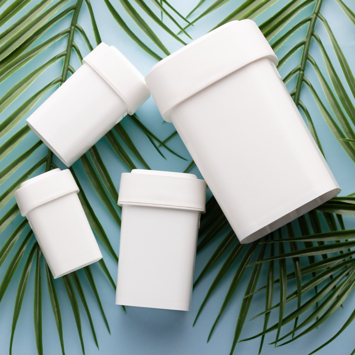 Calyx Dram container sizes with palm leaves