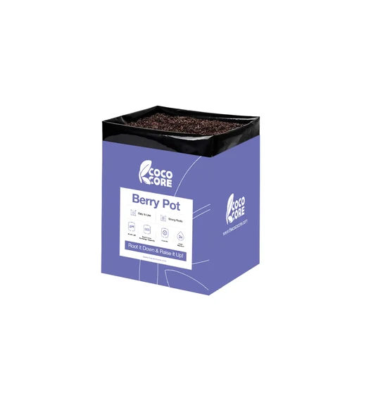 CocoCore Berry Pot