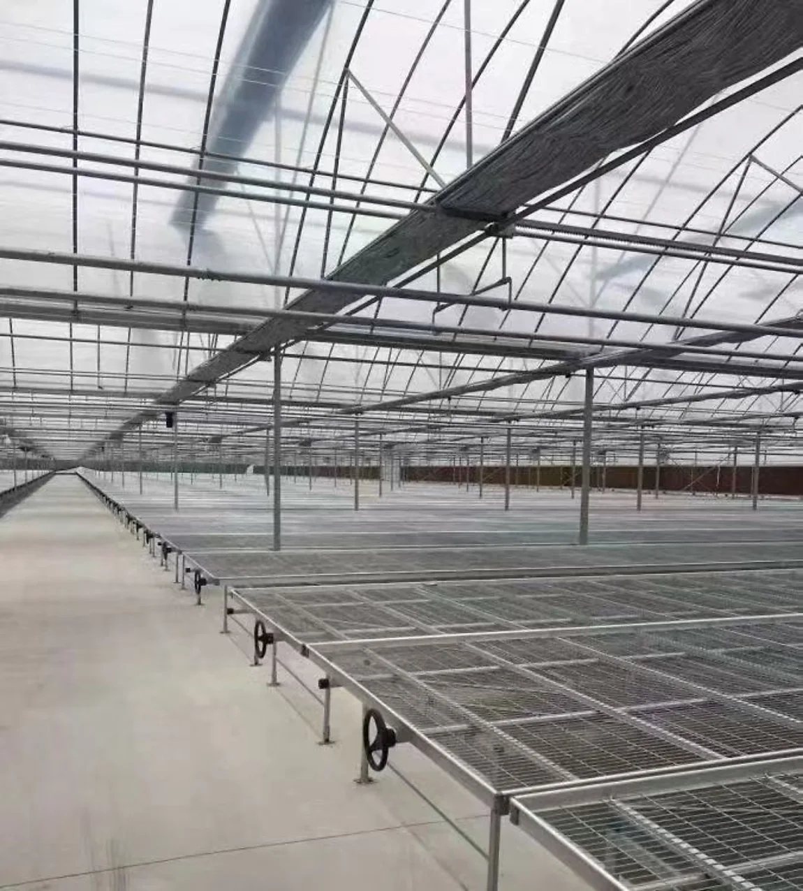 Wide greenhouse rolling bench installation