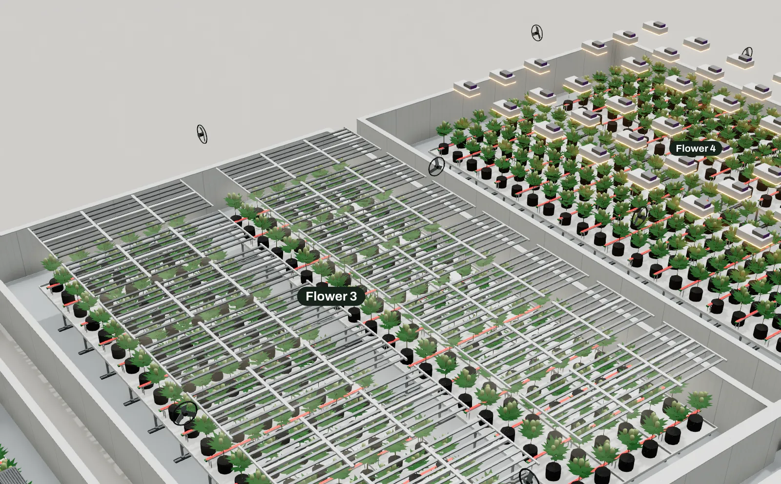 3D model of flower rooms with benches on floor tracks, plants and overhead lights