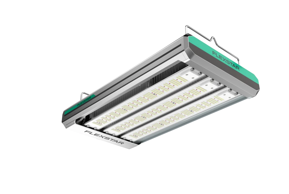Flexstar 800W Nova