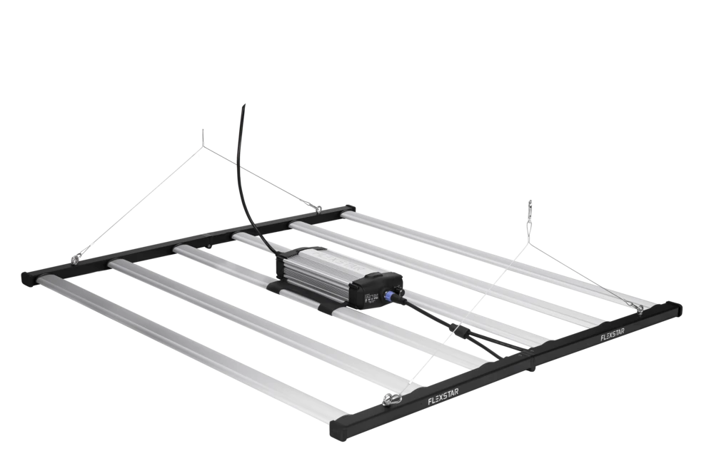 Flexstar Pro 645W