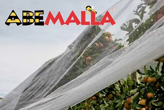 Malla anti-polinizadores ABEMALLA cubriendo árboles de cítricos