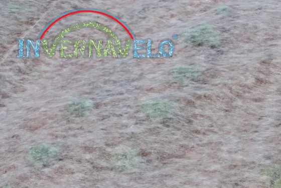 Manta antiheladas no tejida INVERNAVELO colocada sobre un cultivo