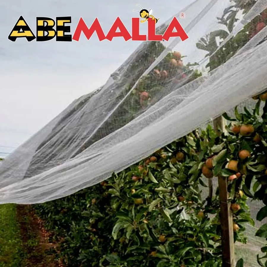 ABEMALLA in use &mdash; 2 of 3