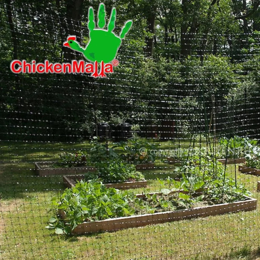 CHICKENMALLA in use &mdash; 3 of 4