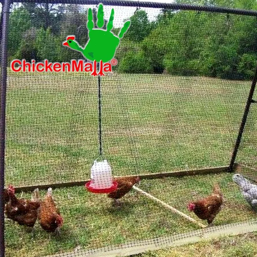 CHICKENMALLA in use &mdash; 4 of 4