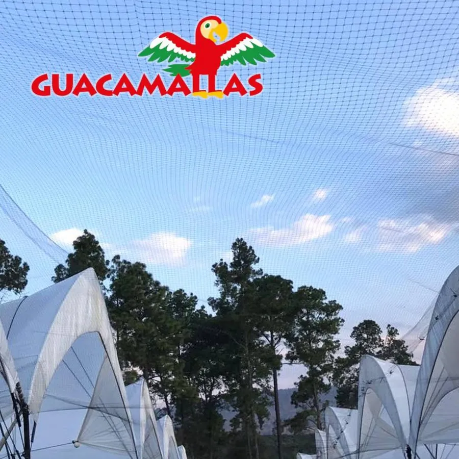GUACAMALLAS in use &mdash; 3 of 4