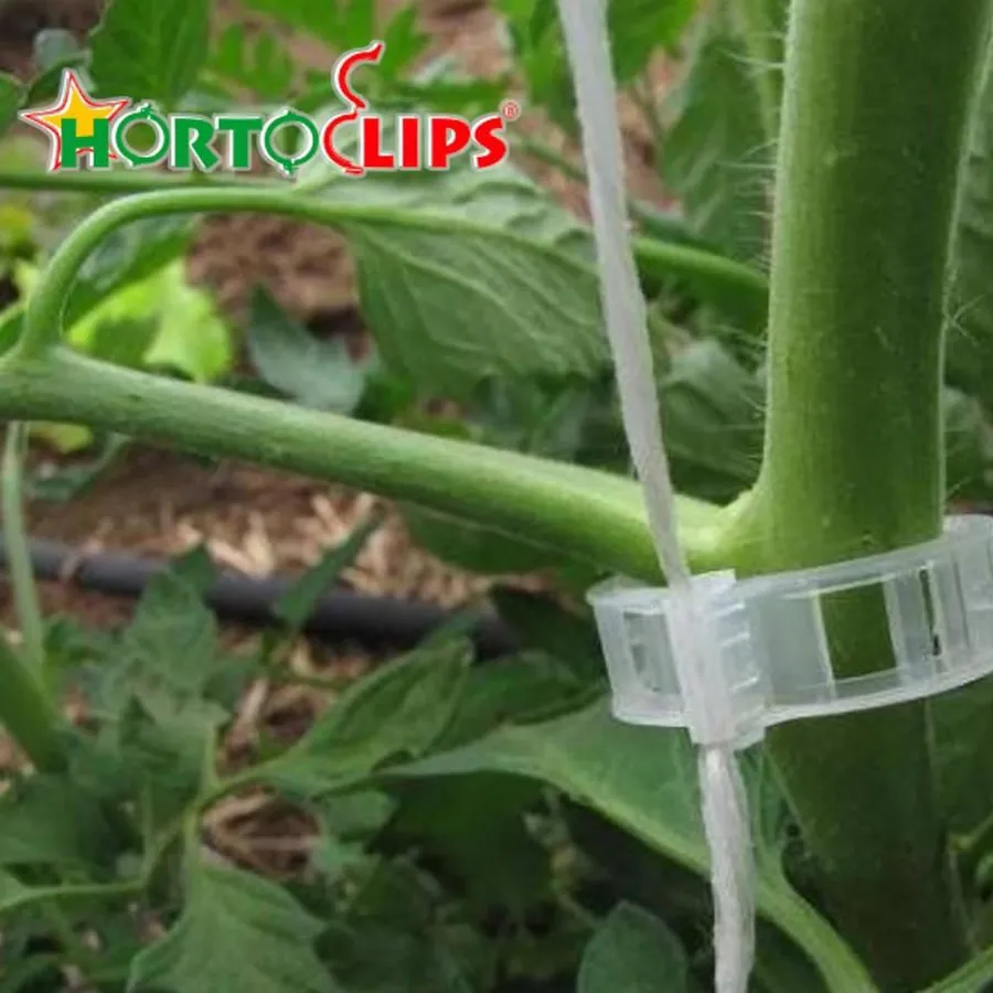 HORTOCLIPS in use &mdash; 2 of 2