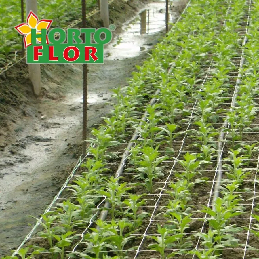 HORTOFLOR in use &mdash; 2 of 4