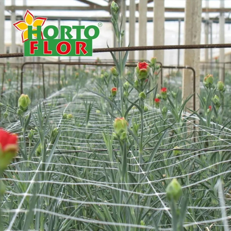HORTOFLOR in use &mdash; 4 of 4