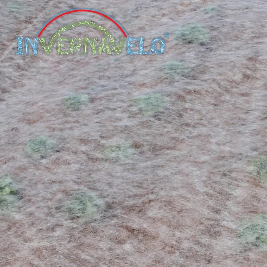 INVERNAVELO in use &mdash; 2 of 4