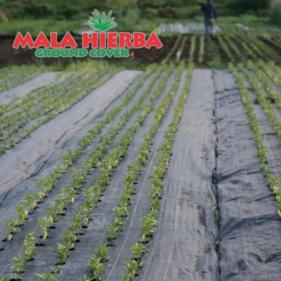 MALAHIERBA in use &mdash; 4 of 4