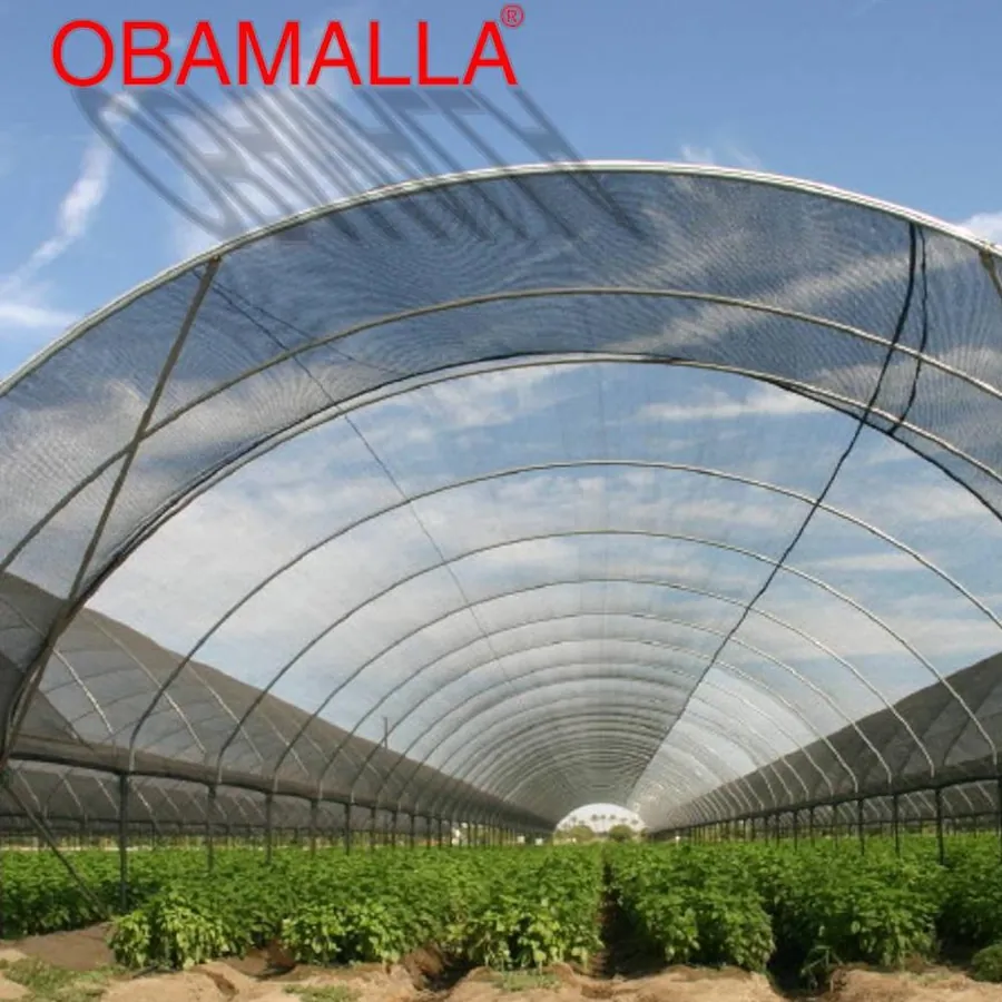 OBAMALLA in use &mdash; 2 of 4