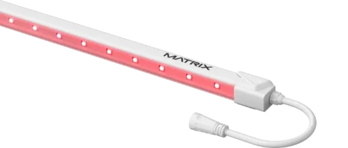 FR 18W Bar
