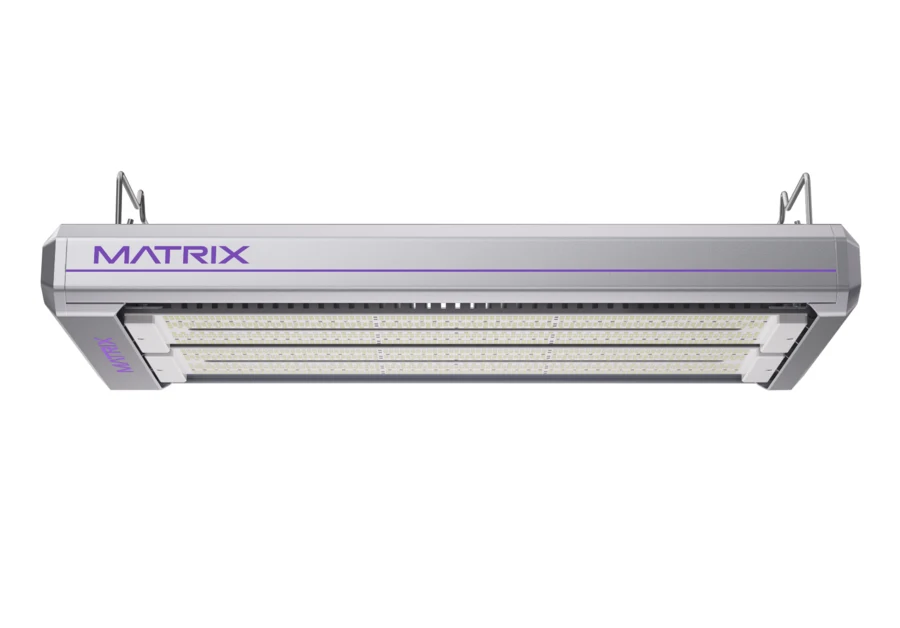 Matrix VEGA Dyna 1000W official render