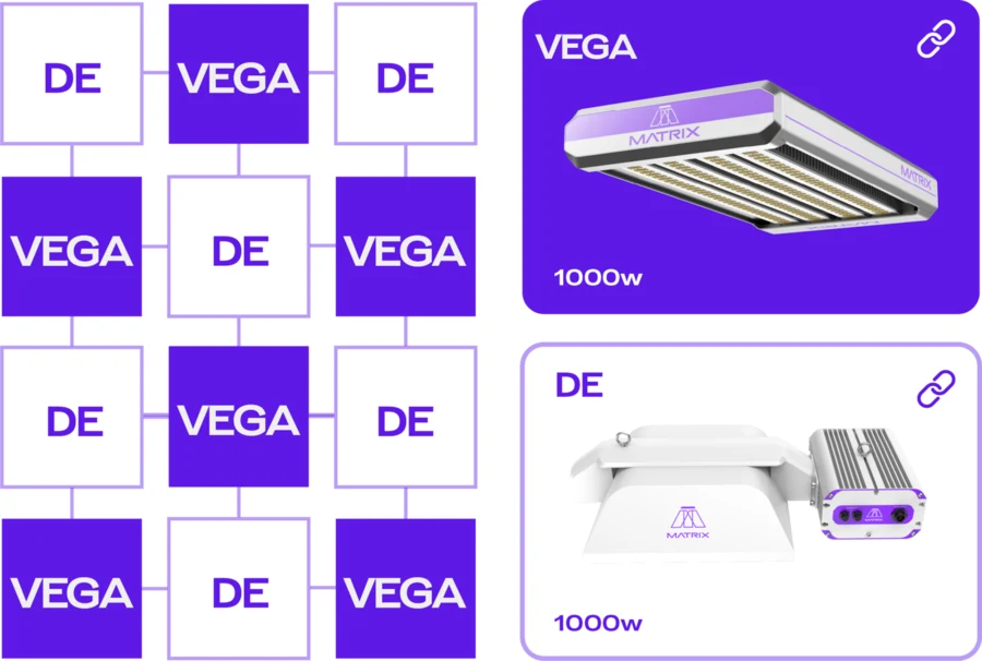 Matrix VEGA Dyna 1000W official render