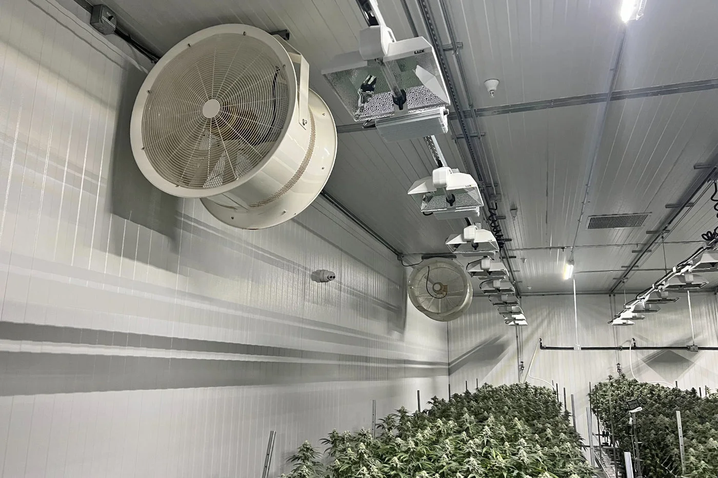 Patterson EC Variable-Speed High-Velocity Fans mounted at rack level in a cultivation room