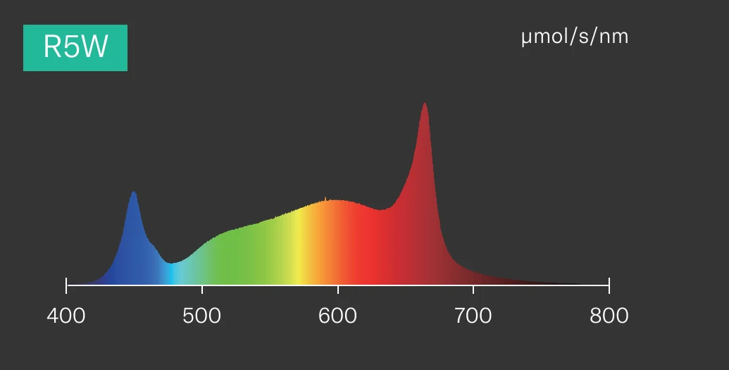 Flexstar Under Canopy R5W spectrum, 400–800 nm